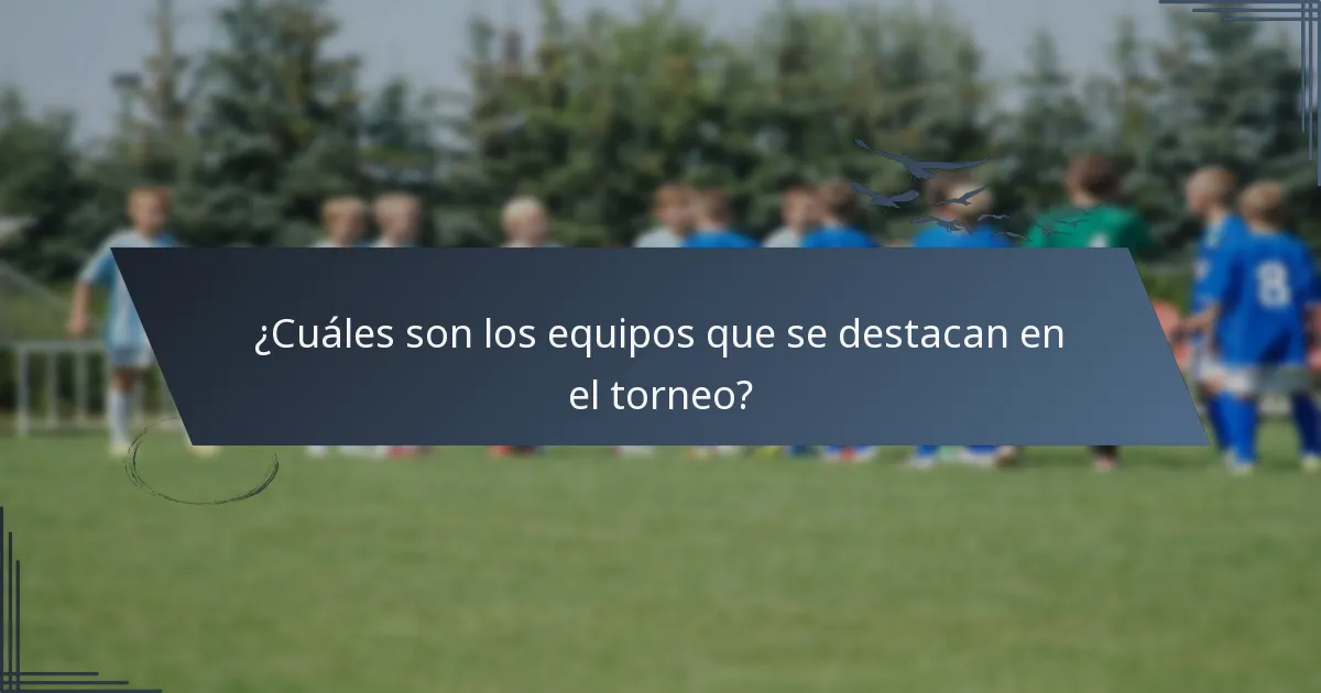 ¿Cuáles son los equipos que se destacan en el torneo?